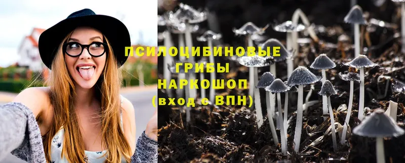 Галлюциногенные грибы MAGIC MUSHROOMS  купить наркотики сайты  Красноперекопск 